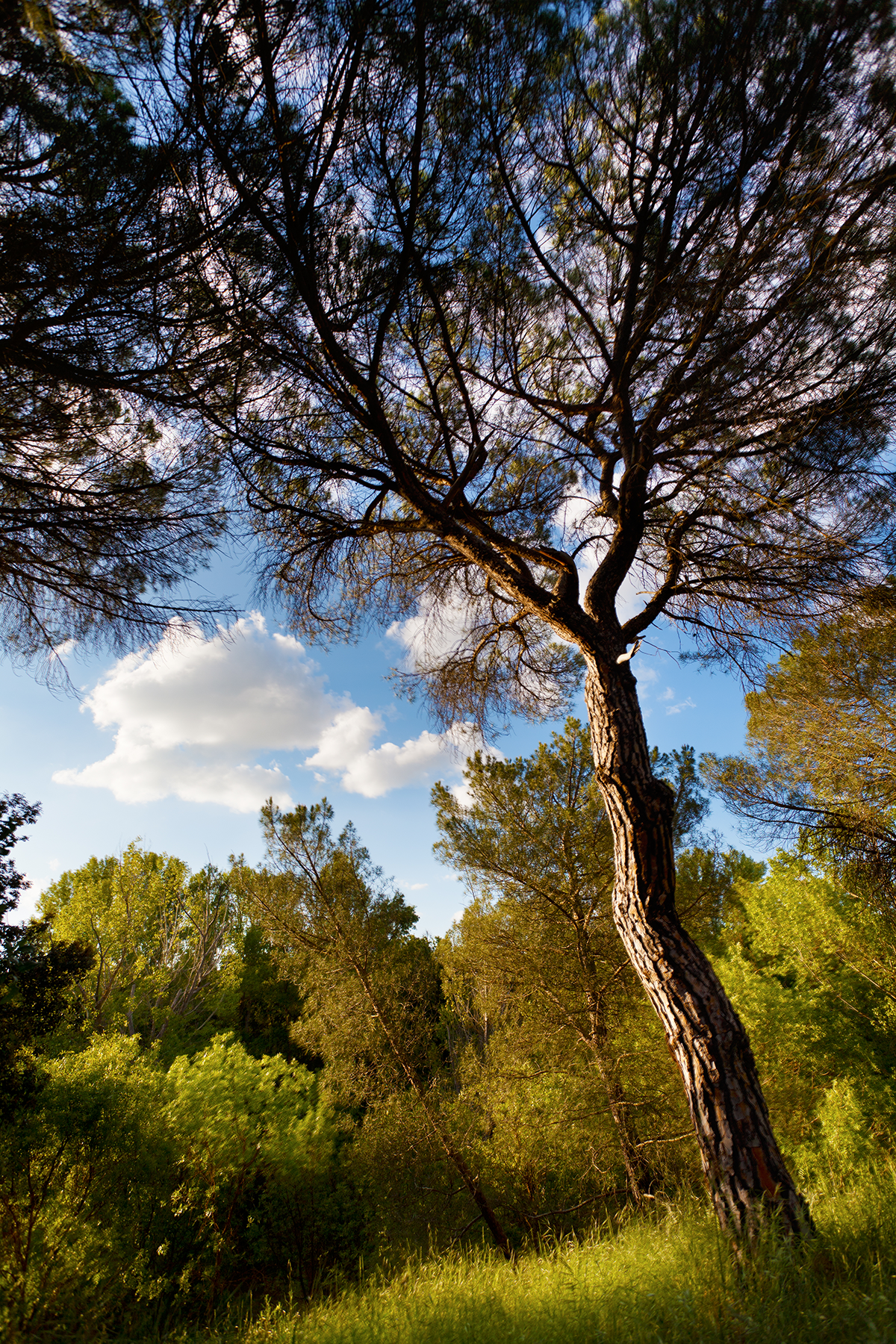 En la imagen se muestra todo lo que se puede encontrar en nuestras instalaciones: maderas, muebles, lámparas, suelo, tableros y ferreteria